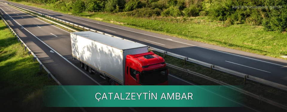 Çatalzeytin Ambar