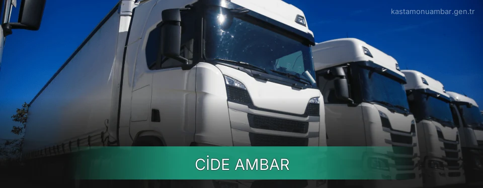 Cide Ambar