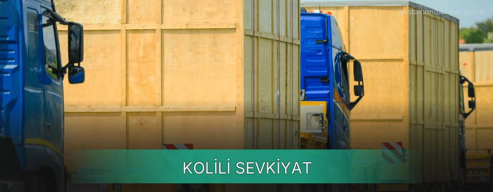 Kastamonu Kolili Sevkiyat Ambar Firmaları