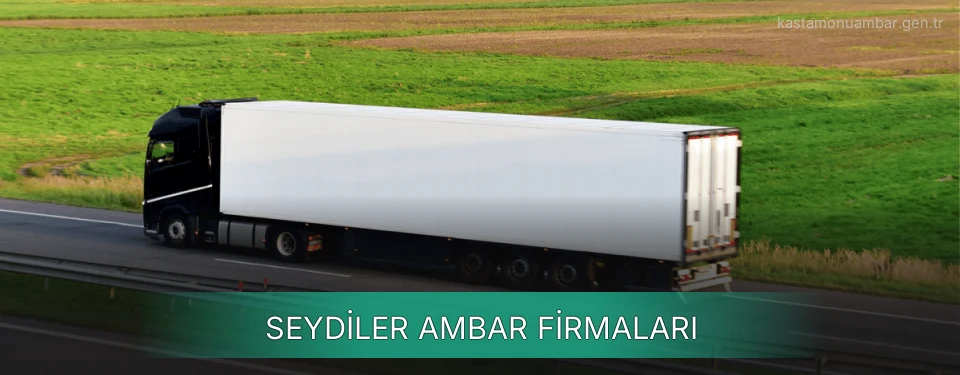 Seydiler Ambar Taşımacılık