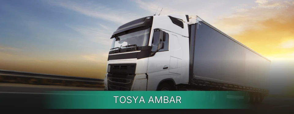 Tosya Ambar Kargo