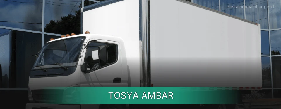 Tosya Ambar
